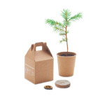 die dem Planeten neues Leben bringen. Der Baum wächst etwa 30 cm pro Jahr. In Europa hergestellt.-Beige-8719941053083-1